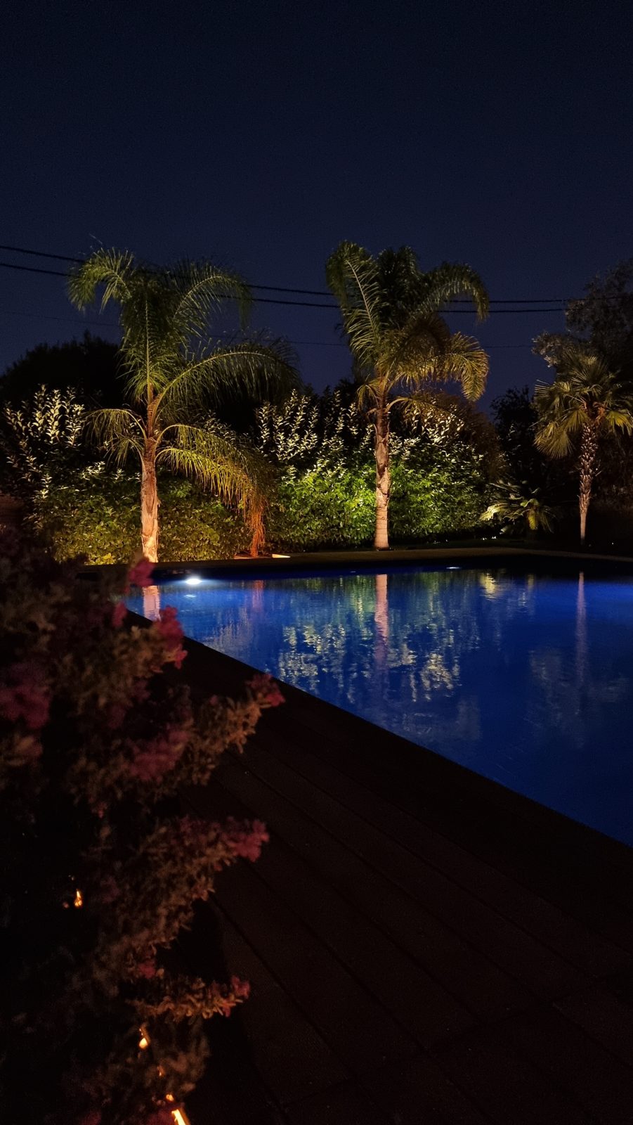 Palms lit warm above the villa's pool, the water glowing blue at night.